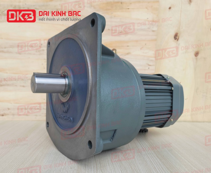 dong-co-giam-toc-mat-bich-Wanshsin-GV40-3700W-3S