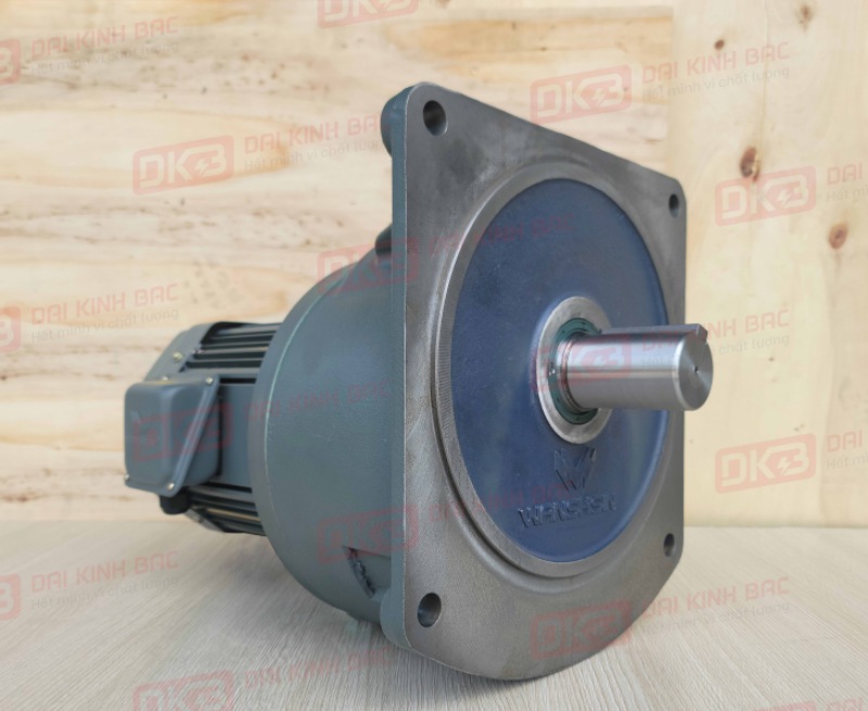 dong-co-giam-toc-mat-bich-Wanshsin-GV40-3700W-5S