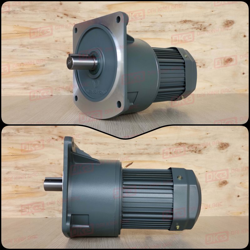 dong-co-giam-toc-mat-bich-Wanshsin-GV40-750W200S-