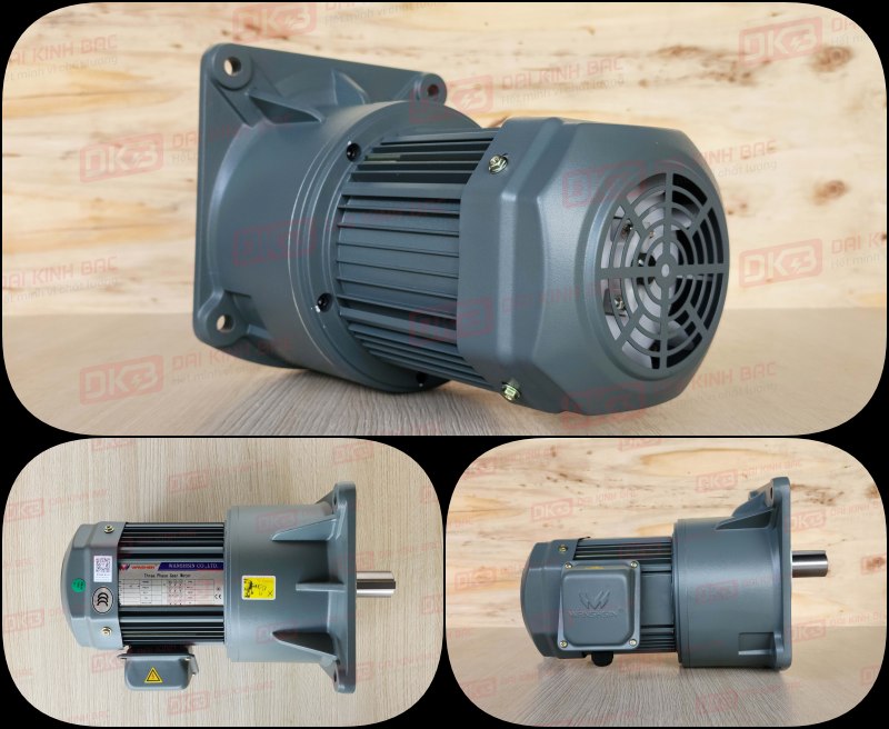 dong-co-giam-toc-mat-bich-Wanshsin-GV40-750W200S