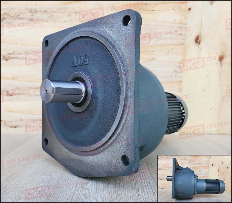 dong-co-giam-toc-mat-bich-Wanshsin-GV50-750W-15000S