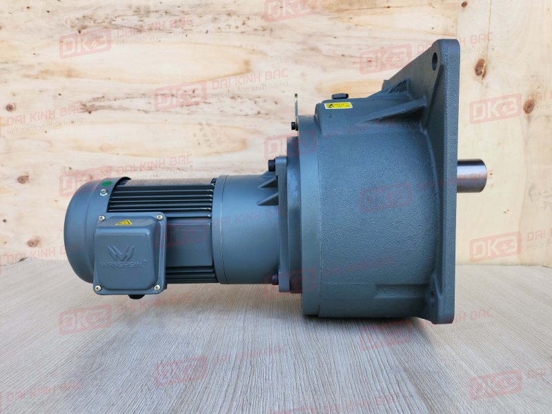 dong-co-giam-toc-mat-bich-Wanshsin-GV50-750W-19000S-