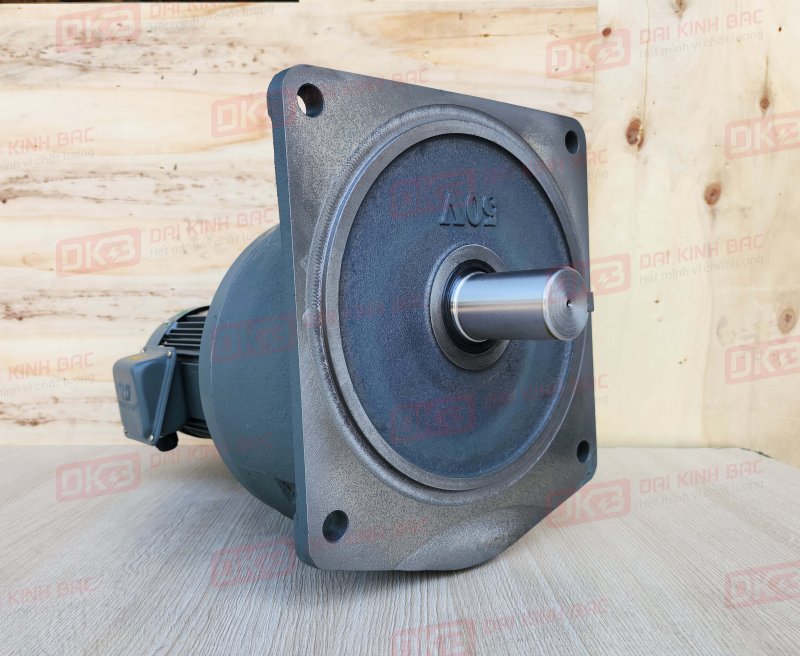 dong-co-giam-toc-mat-bich-Wanshsin-GV50-750W-7000S-