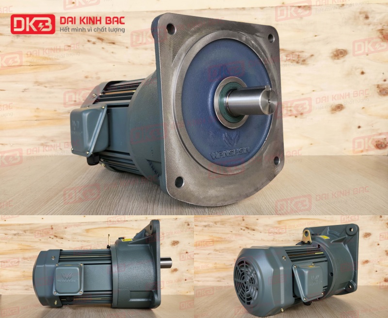 Động Cơ Giảm Tốc Mặt Bích Wanshsin GV40-2200W-15S