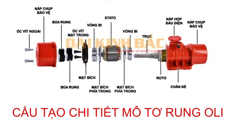 cấu tạo động cơ rung Oli 