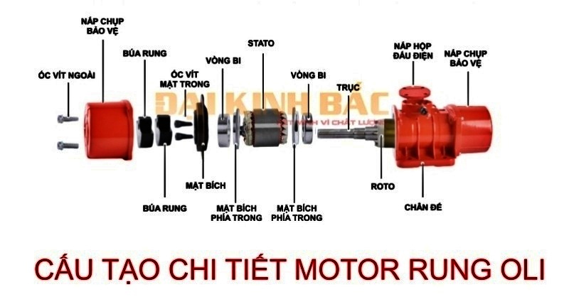 cấu tạo động cơ rung Oli 1.1kw