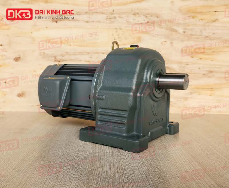 Động Cơ Giảm Tốc Chân Đế Wanshsin GH50-3700W-40S