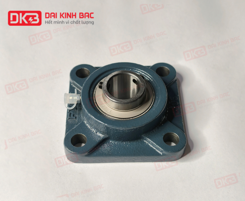 goi do-vong-bi- FYH UCF