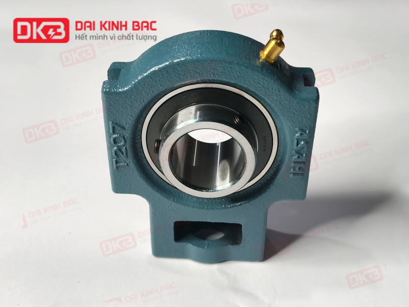 goi do-vong-bi-ASAHI UCT