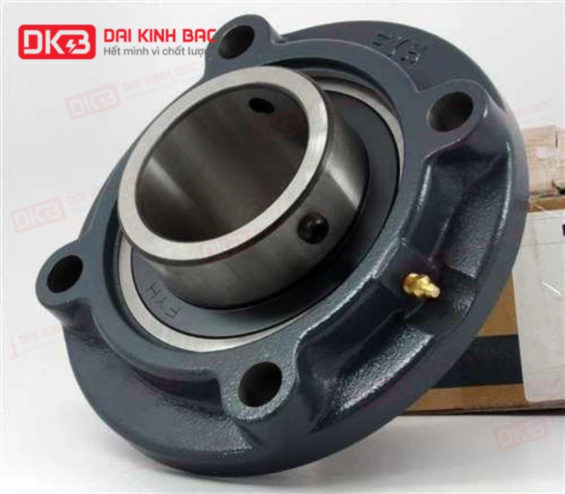 goi-do-vong-bi-FYH-ucfC