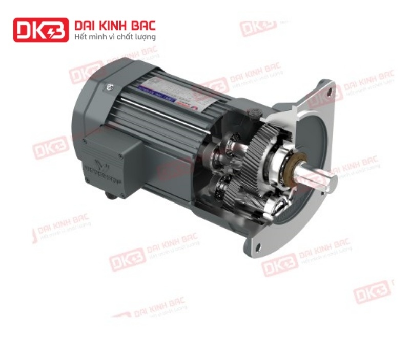 Động Cơ Giảm Tốc Mặt Bích Wanshsin GV22-100W-180S