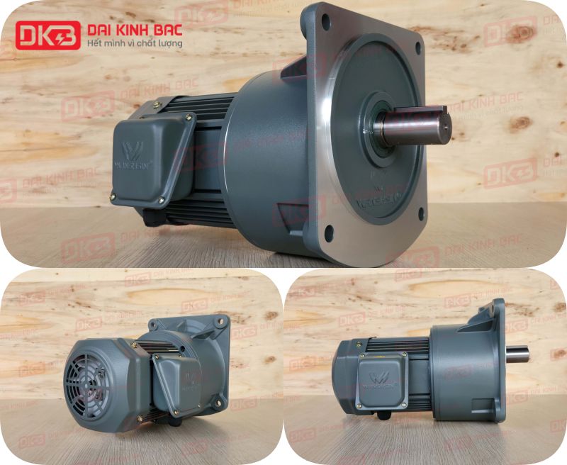 Động Cơ Giảm Tốc Mặt Bích Wanshsin GV32-1500W-10S