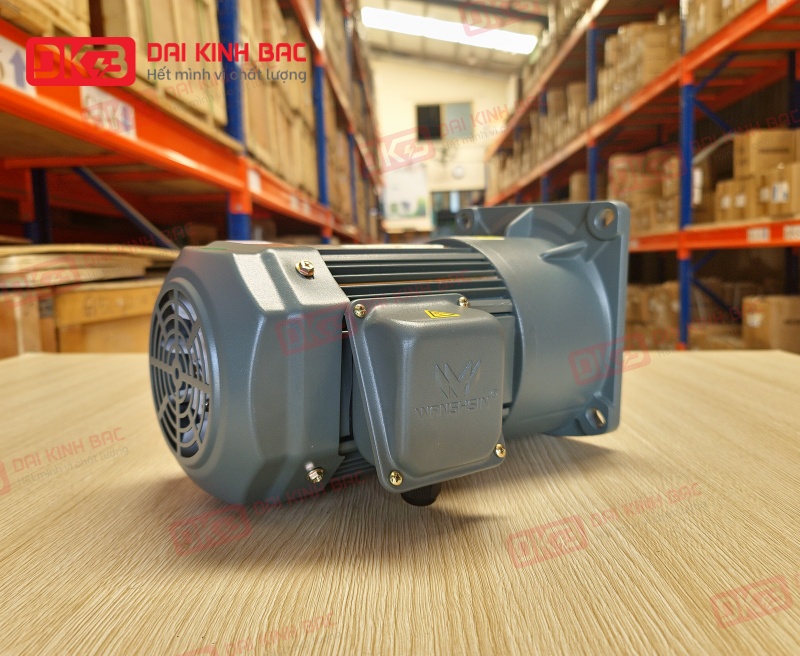 Motor giảm tốc Wanshsin Mặt bích