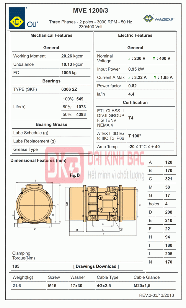 bản vẽ động cơ rung oli 2 cực 0.95KW