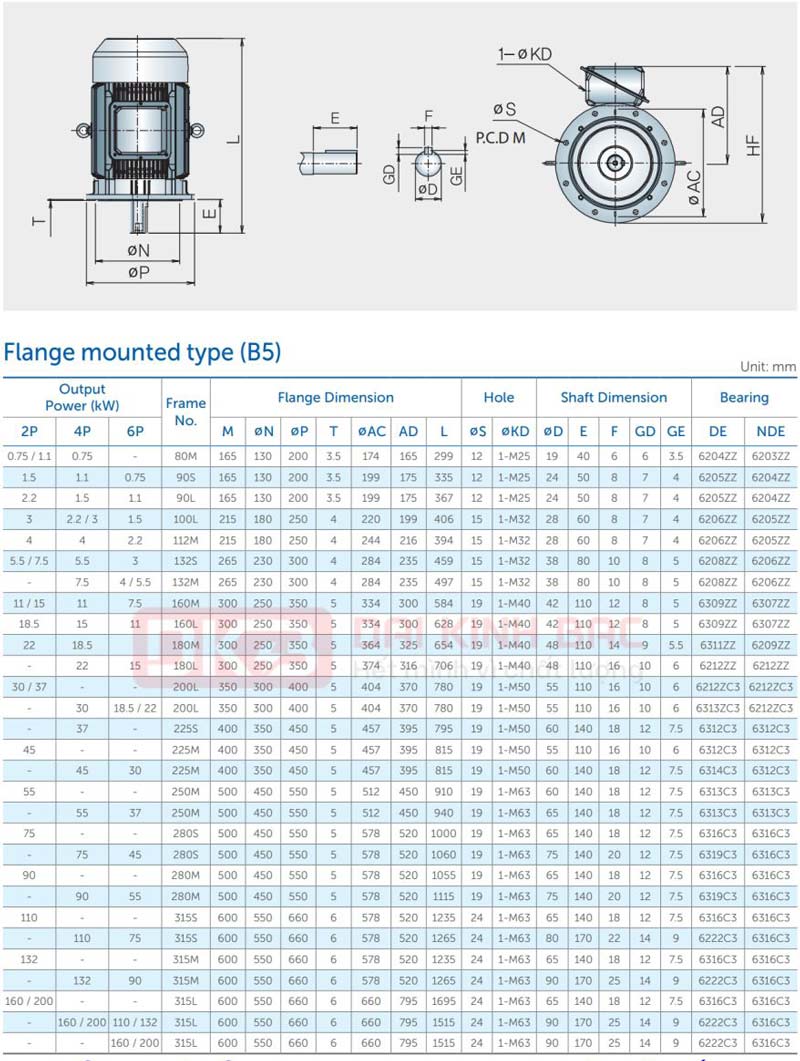 Motor Điện 3 Pha 0.75KW- 1HP 6P 6 Cực - Hyosung Hàn Quốc