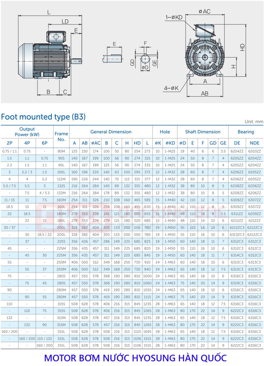 catalog motor bom nuoc hyosung chan de