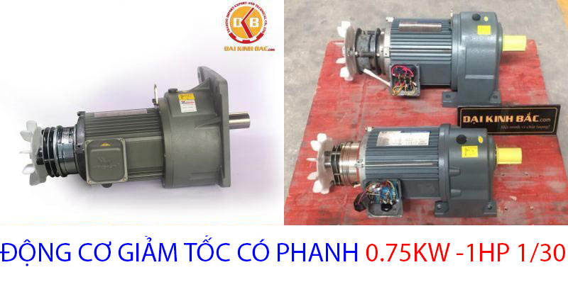 động cơ giảm tốc 0.75kw 1.30