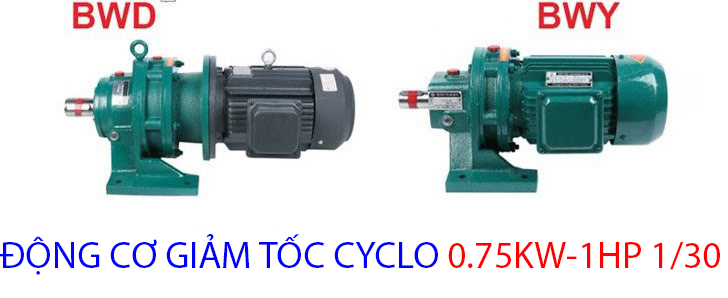 động cơ giảm tốc cyclo 0.75kw 1hp 1.30