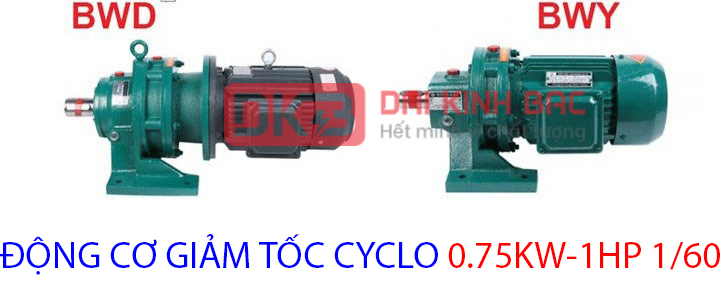 động cơ cyclo 0.75kw 1hp 1.60