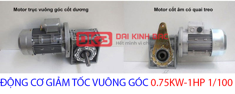 động cơ giảm tốc 0.75kw 1hp 1.100
