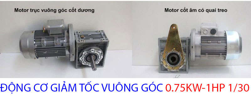 động cơ vuông góc 0.75kw