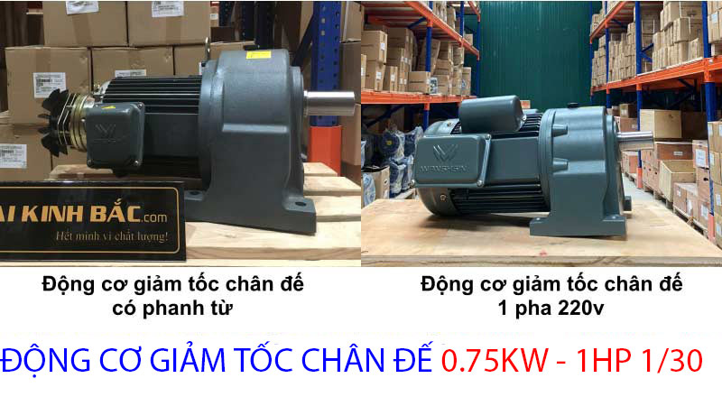 động cơ chân đế 0.75kw 1hp 1.30