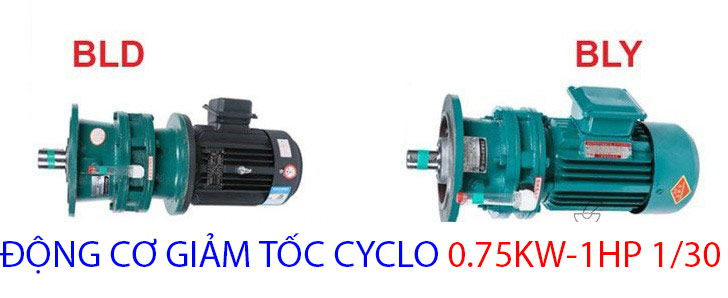 động cơ giảm tốc cyclo 0.75kw 1.30