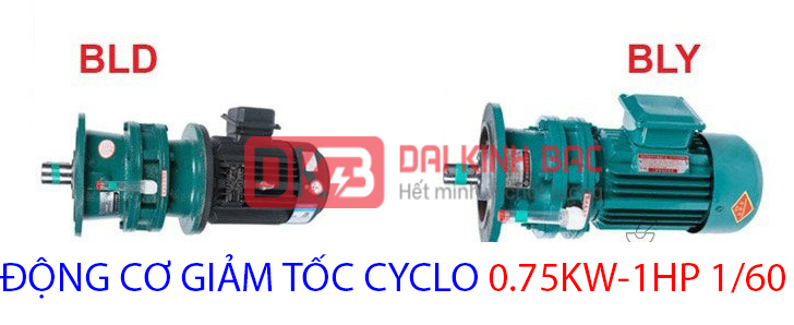 động cơ cyclo 0.75kw 1hp 1.60