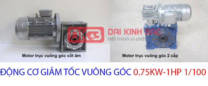 động cơ giảm tốc 0.75kw 1hp 1.100