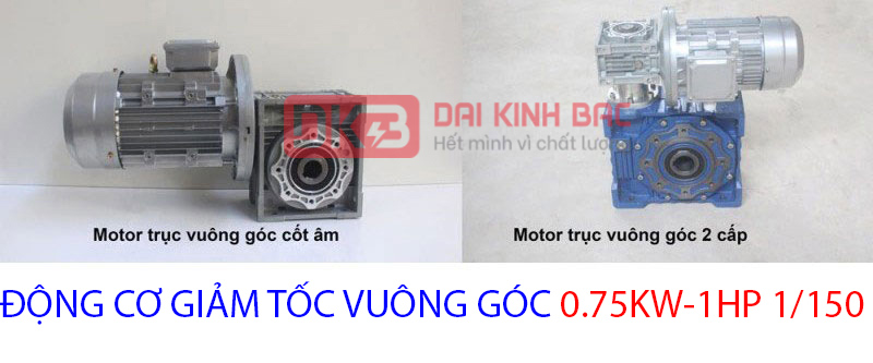 động co vuong goc 0.75kw 1hp 1.150