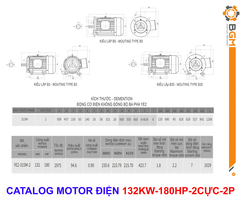 Catalog ,Bản vẽ Thông số Motor điện công suất 132kw - 180Hp 2P