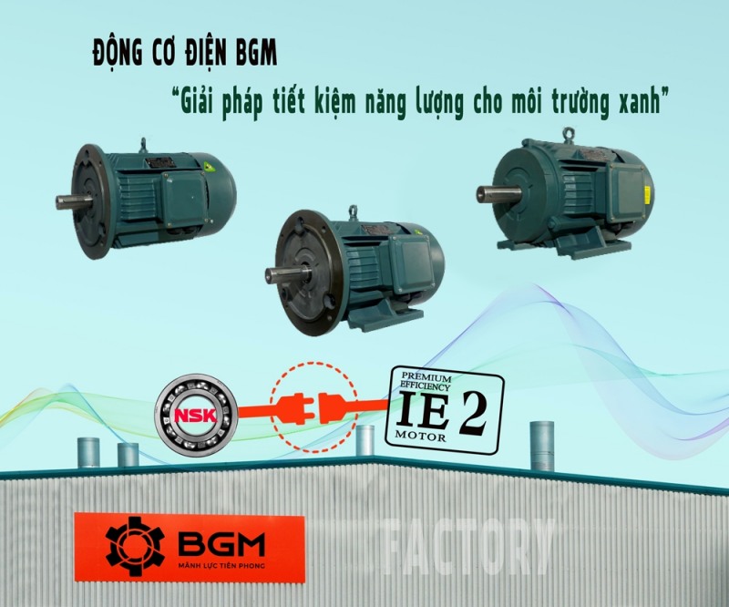Motor điện BGM