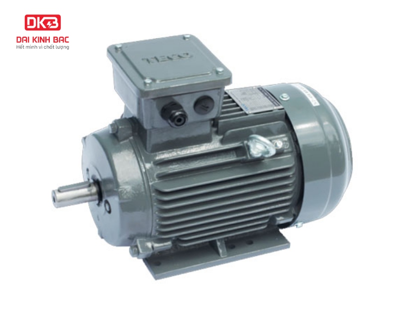 Motor điện Teco