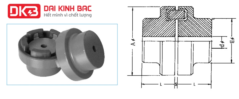 bản vẽ khớp nối NM