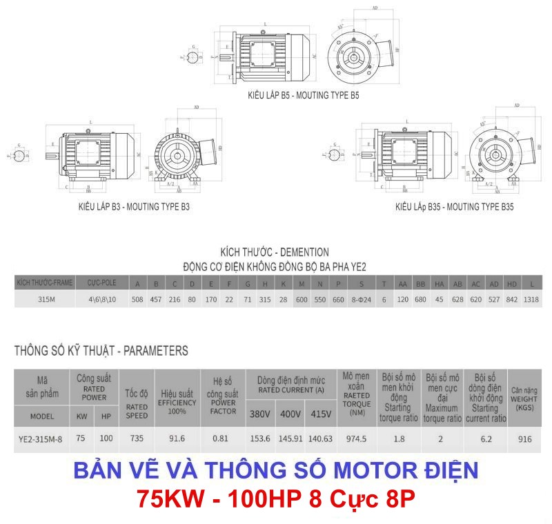 Bản vẽ thông số chi tiết Motor điện 75kw - 100hp 8 cực 8p