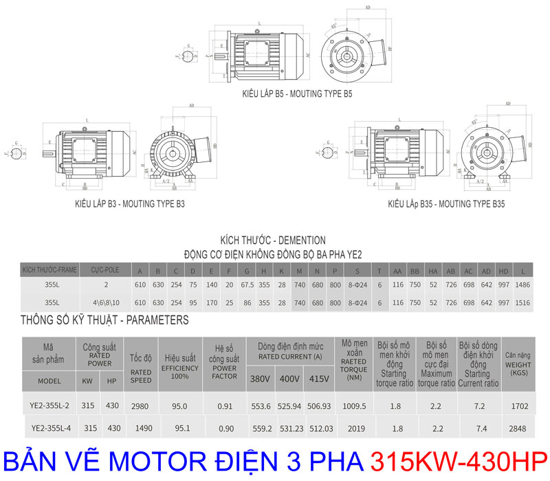 Bản vẽ thông số Motor Điện 3 Pha 315KW -  430HP