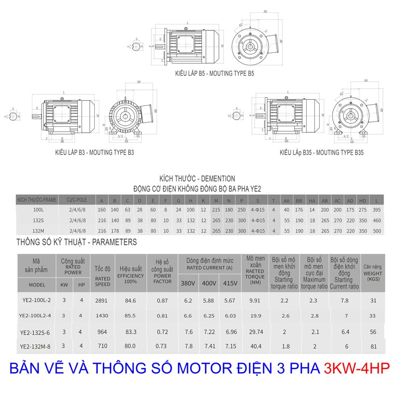 Catalog Motor Điện 3 Pha 3KW - 4HP