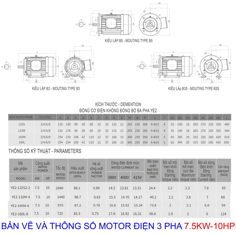 Bản vẽ thông số Motor Điện 3 Pha 7.5KW - 10HP