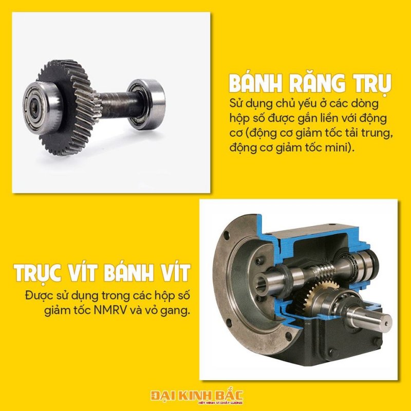 Bánh răng trụ - Bánh răng trục vít bánh vít