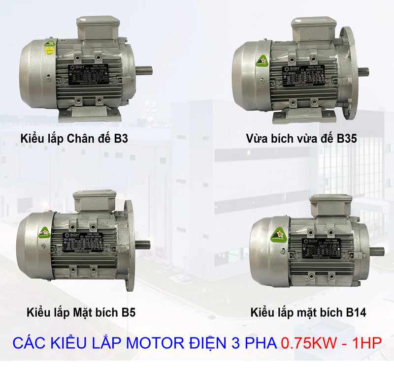 các kiểu lắp của Motor Điện BGM 0.75Kw - 1Hp