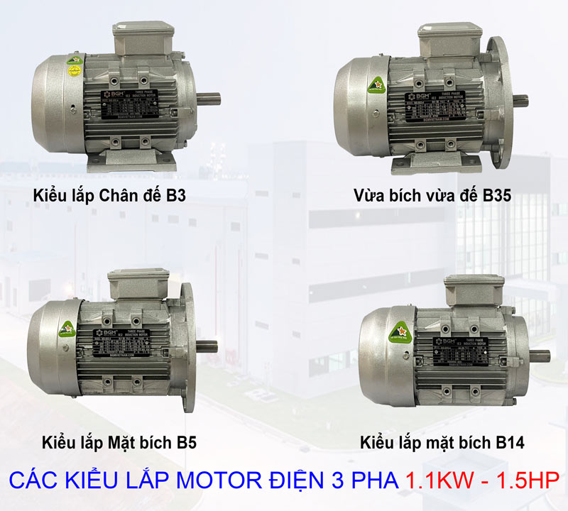 các kiểu lắp của Motor Điện BGM 1.1Kw - 1.5Hp