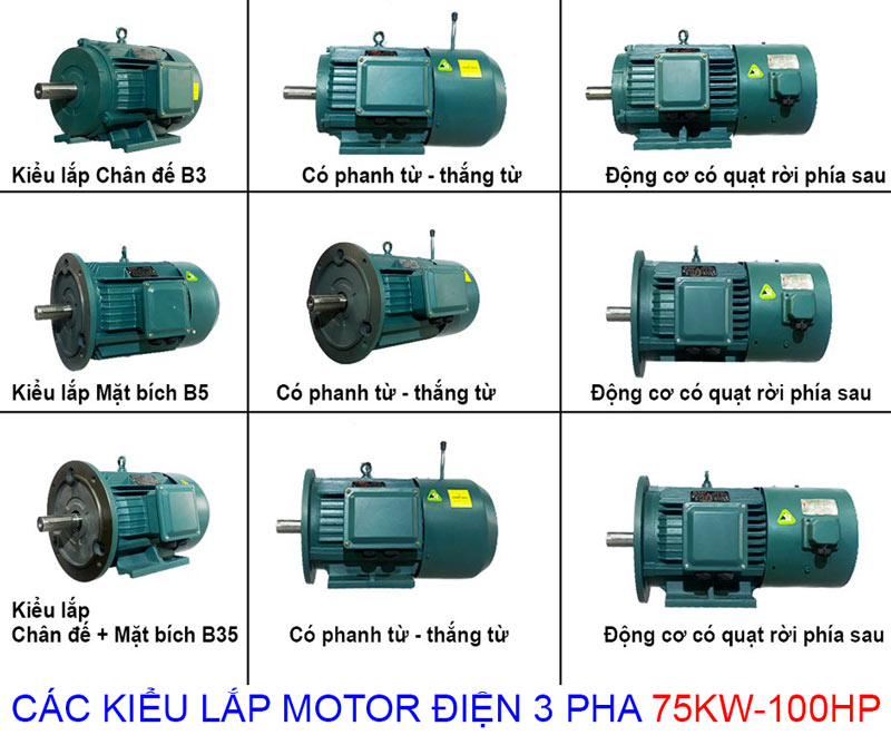 các kiểu lắp của Motor Điện3 pha 75Kw - 100Hp