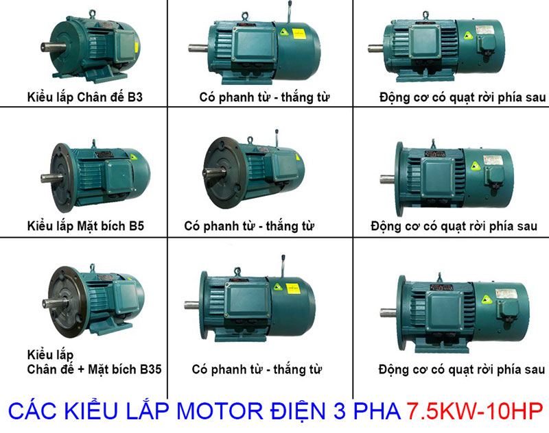 các kiểu lắp của Motor Điện BGM 7.5Kw - 10Hp