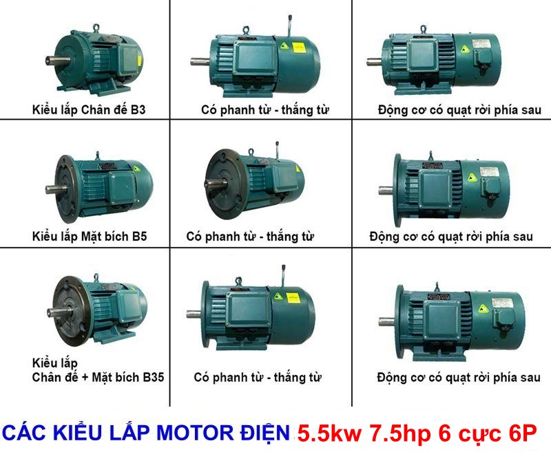 các kiểu lắp và dòng khác của Motor Điện BGM 5.5kw 7.5hp
