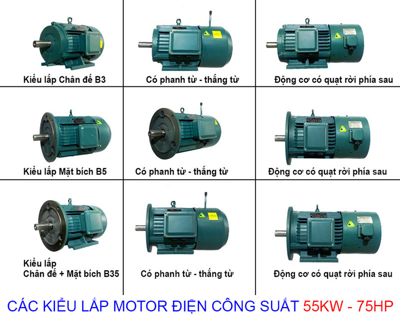 các kiểu lắp motor điện 55kw-75hp-2 cực-2p