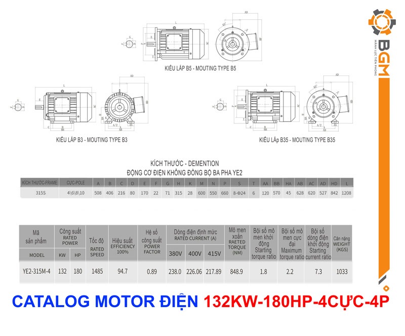 Bản vẽ Thông số Motor điện công suất 132KW - 180HP 4 CỰC