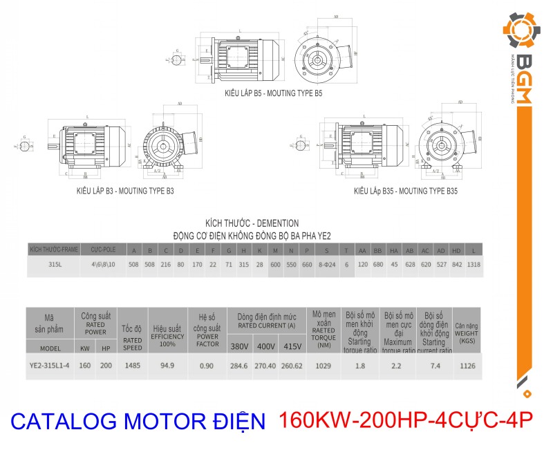 Bản vẽ thông số Motor điện công suất 160KW - 200HP 4Cực 4P
