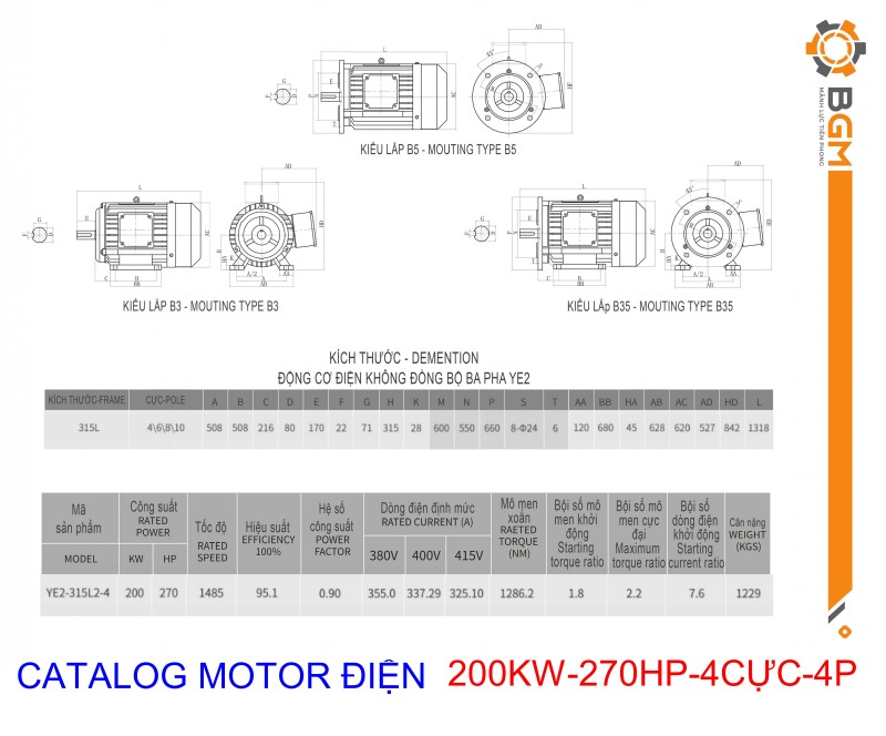 - Bản vẽ thông số Motor điện công suất 200KW - 270HP 4Cực (4P)