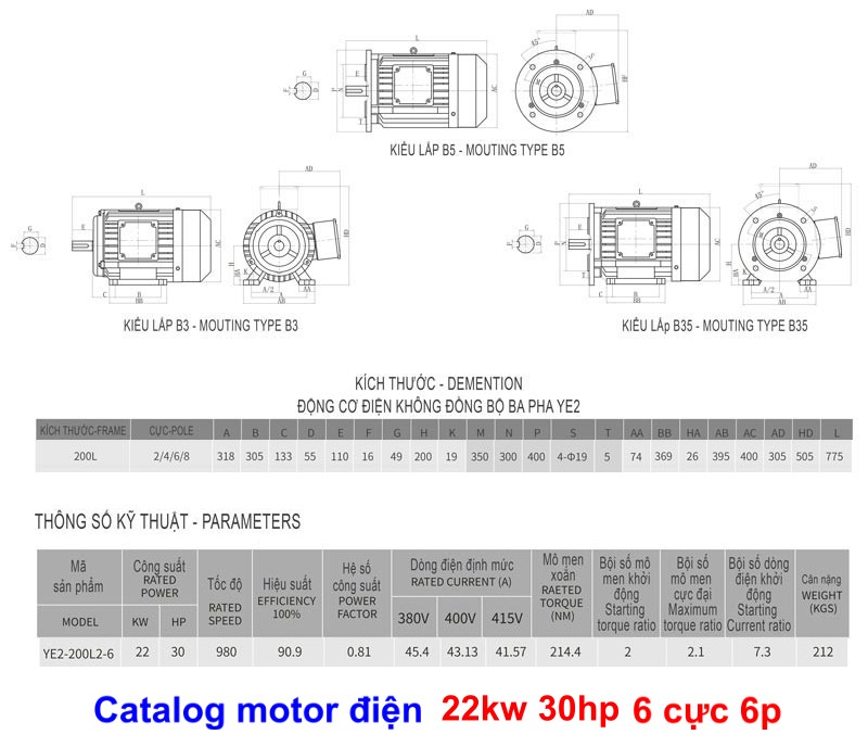 Bản vẽ chi tiết thông số motor 22kw 30hp 6p
