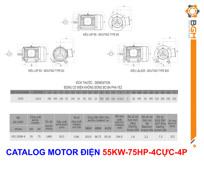 Bản vẽ Thông số Motor điện công suất 55Kw - 75Hp